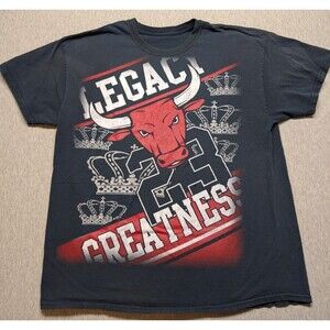 MICHAEL JORDAN "Legacy CHICAGO BULLS Greatness" Size Large Vintage Looking